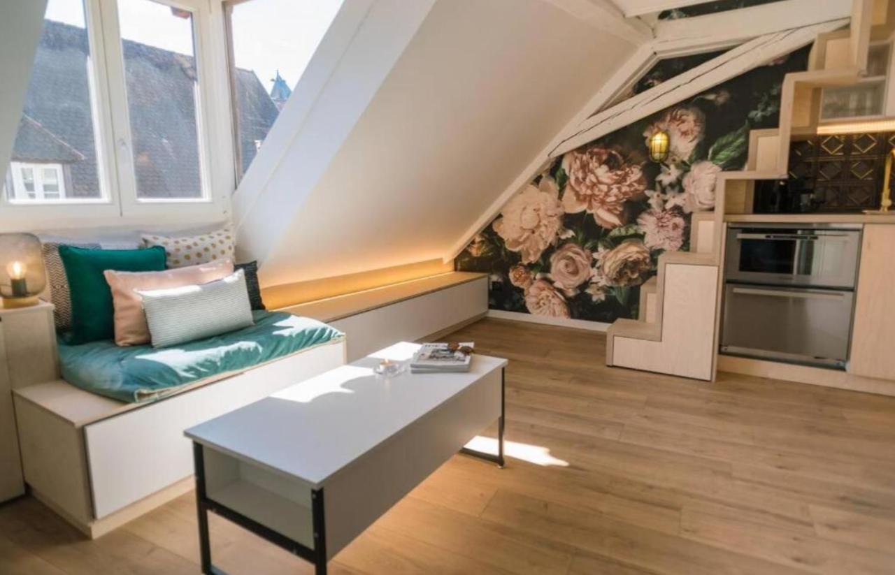 L'Evasion - Cozy - Rbnb Strazburg Dış mekan fotoğraf